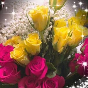 Meet your Posher, Adrienne